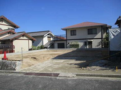 image-7